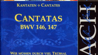 Thumbnail of post image 082